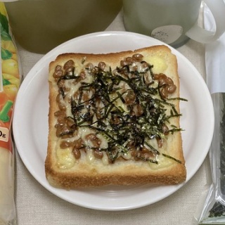  変な日本語を使っているので見られたくない(定期｡ - ののブログ。