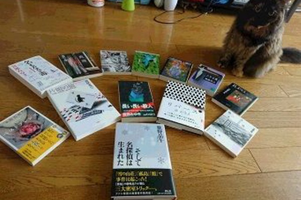 猫とタイヨウ 16年09月 猫とタイヨウ 16年09月