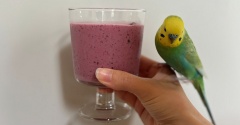 これひとつでおうちカフェ誕生＆アラフィフの健康維持宣言