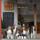 ペンションK-yard