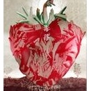 毒苺 / ICHIGO ICHIE