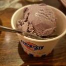 コンサートがしたい、本番がほしい、楽器が吹きたい