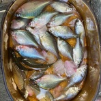 スーさんノート