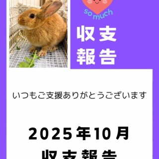 for the RABBIT【保護うさぎの里親探し】
