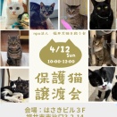 4月12日（日）保護猫たちの譲渡会🐾