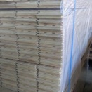 新年一発目と二発目の釣果