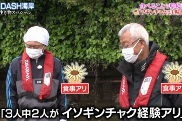 くまニュース - ザ！鉄腕！Dash！！