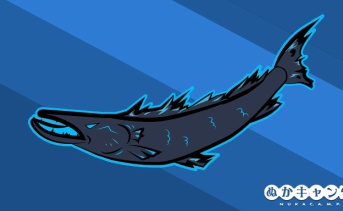 今週のアパラチア：8月20日～8月26日