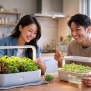 水耕栽培で甘いミニトマトは作れるのか 家庭での実践方法まで徹底考察