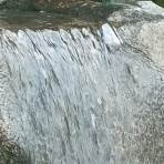 文ちゃんの更科日記