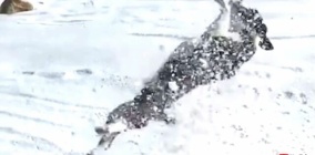 シリアルキラーが犠牲者を罠にかける狡猾な10の手口 カラパイア