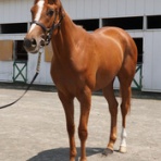 スライムの競馬ブログ