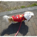 いつまでも一緒だよ♪