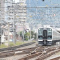 10月4日撮影　E131系　N12+N11編成を撮影より　