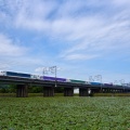 Wonderful Dreams Shinkansen:6/29②