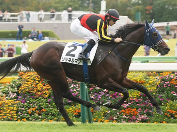 【競馬予想】[1]第66回京成杯(GⅢ) /2026