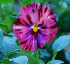 花屋さんで待ち合わせ