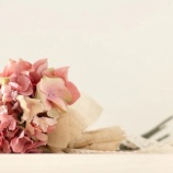 『母から貰った花を育てる』の画像