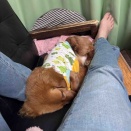 本日休刊。