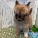 こんにちは♪