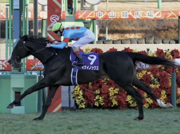 結局イクイノックス一口持ってたらいくら黒字になったの？