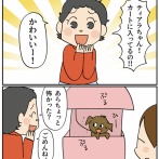 うちの犬を連れて帰りたい…？