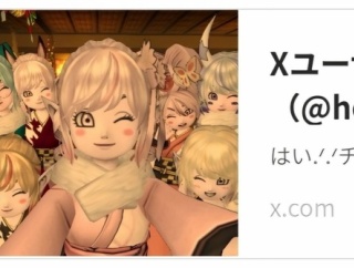 流行りの自撮り風写真の撮り方！ 【ドラゴンクエスト10】