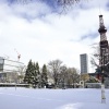 札幌来たらこれ食っとけベスト5