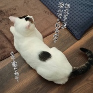 青春に忙しい娘。と、黄色い鉱石つくりました。