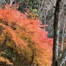 “愛と怖れ”とコラム記事のご案内