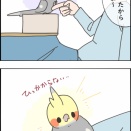 爪切り後のニュー