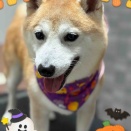 10月5日のお友達❤️