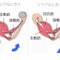 拮抗筋を忘れべからず