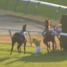 【競馬】ジャパンカップ　カランダガンが優勝!