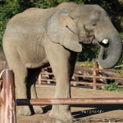 砥夢くんに会いに行ってきた2025