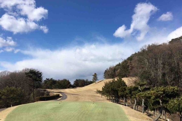 Mazdaとゆかいな仲間たち 岡山マツダ豊成店 その他