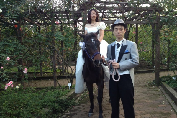 馬カフェ マリヤの風 東京日野市で乗馬体験外乗ができる 結婚式余興