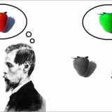 俺が見ている「赤」はおまえらにも同じように「赤」にみえてるの？