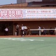 推し馬のゴコウコイコイちゃんが引退