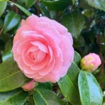 『キレイを努力する方のミカタ』〜 eye CATCH 〜 blog