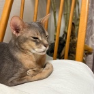 早寝派のぼくちんは、先にベッドに行く