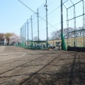 高崎経済大学野球場