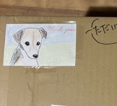 あずきのいた縁側