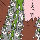 DCD-IFシリーズのキャラ削除&交代について