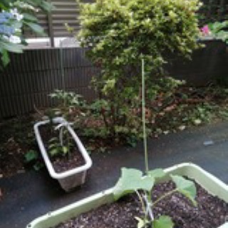 得意淡然・失意泰然　～ＦＰ 長谷川悦也の日記～