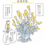 『【雑談】畑の白菜の話』の画像