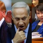 晴 天 と ら 日 和