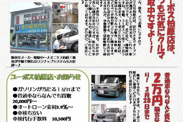 U Pohsぶろぐ 25号線沿い柏原 八尾店 チラシ