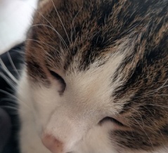 まったりストッククラス！ミウラ電波模型