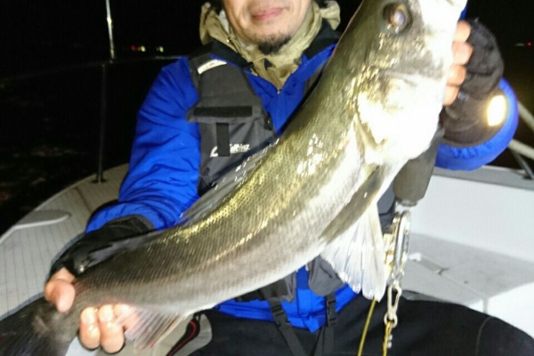 Tokyobay Fishing Guide Service Glory グローリーフィッシング 17年01月